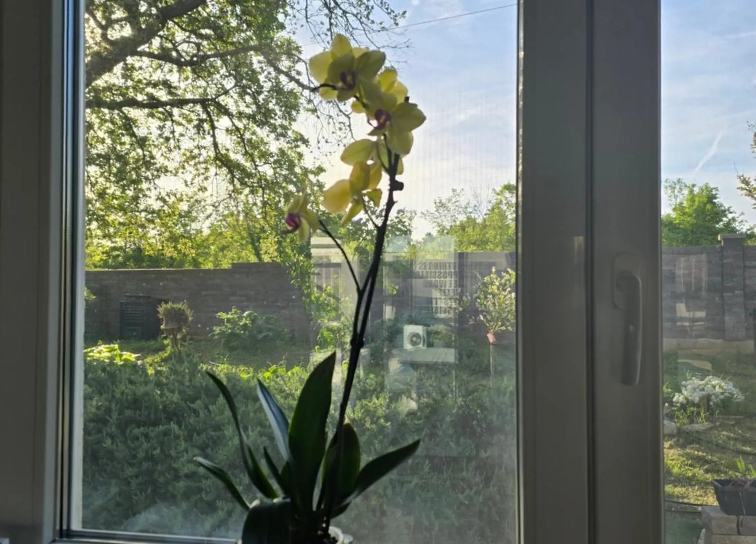 Villa Francesca With Private Heated Pool Štokovci