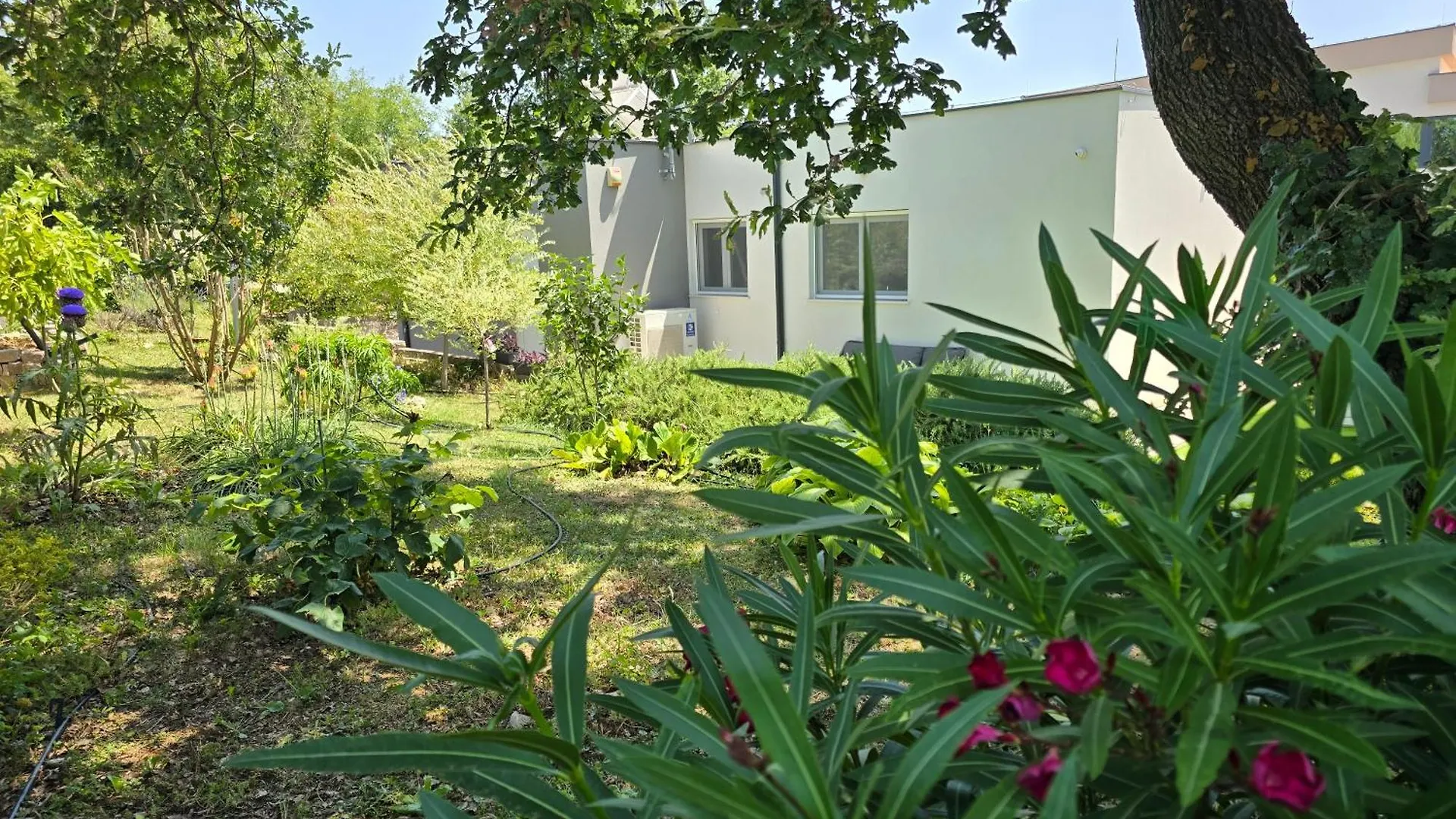 Villa Francesca With Private Heated Pool Štokovci